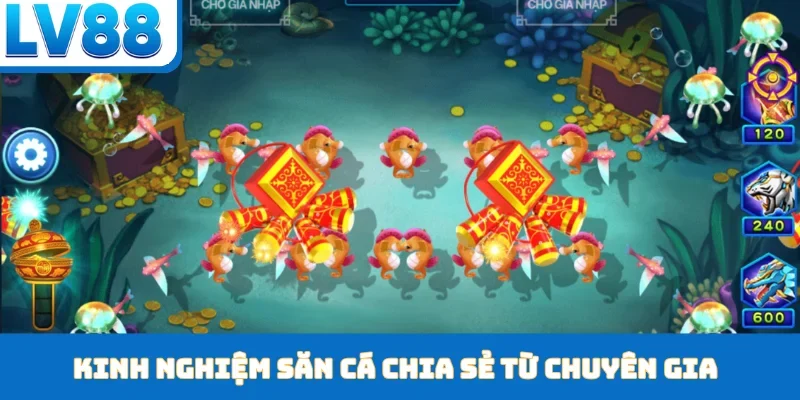 Kinh nghiệm săn cá chia sẻ từ chuyên gia