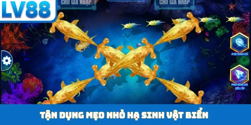 Tận dụng mẹo nhỏ hạ sinh vật biển